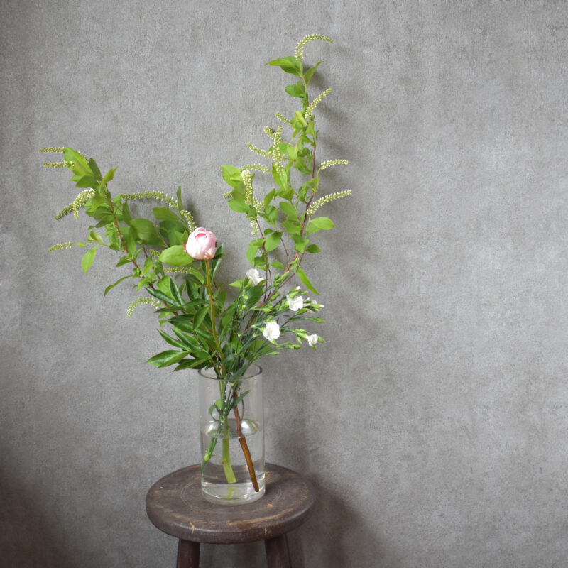 芍薬、リョウブ、ナデシコ