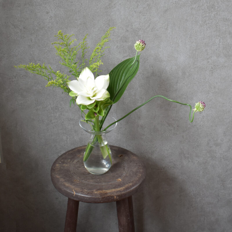 丹頂アリウム、クルクマ、ソリダゴ、ギボウシ