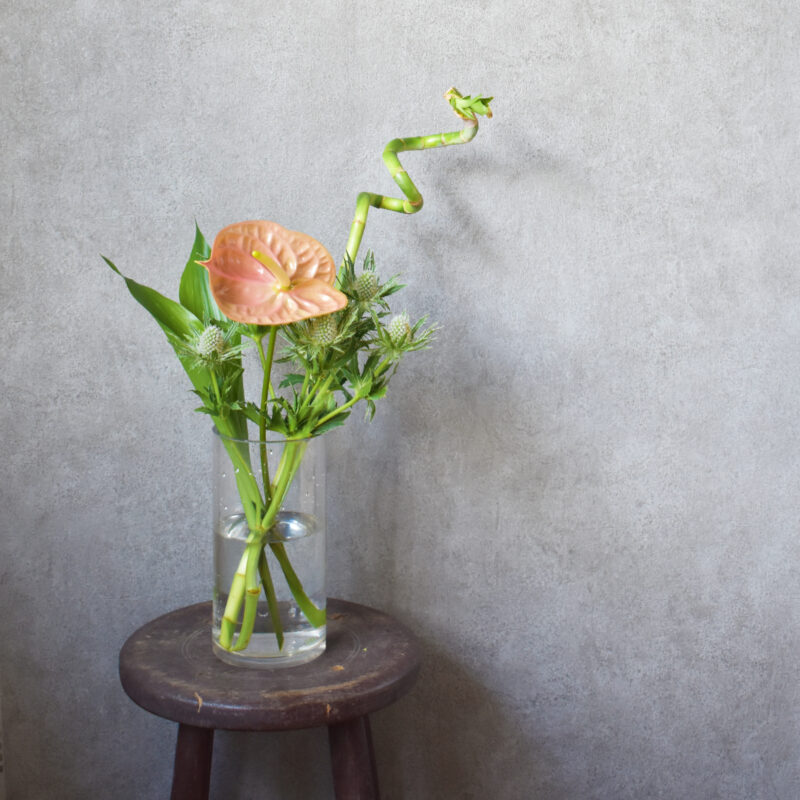 アンスリューム,エリンジューム,ミリオンバンブー,ハラン