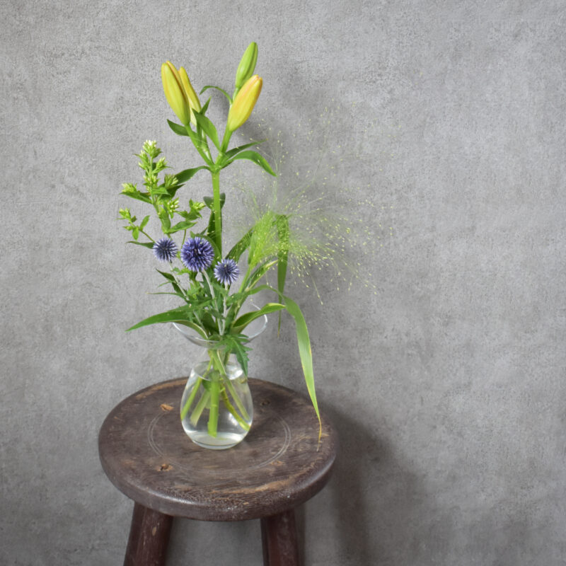 スカシユリ、ルリダマアザミ、フロックス、スモークグラス