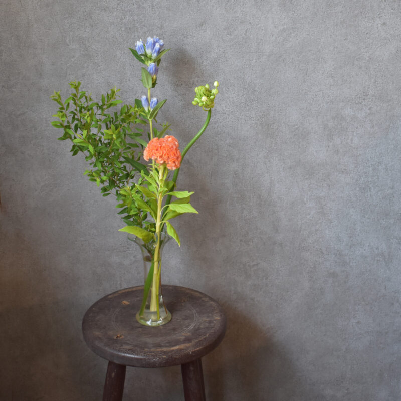 オーニソガラム、リンドウ、ケイトウ、ユキヤナギ