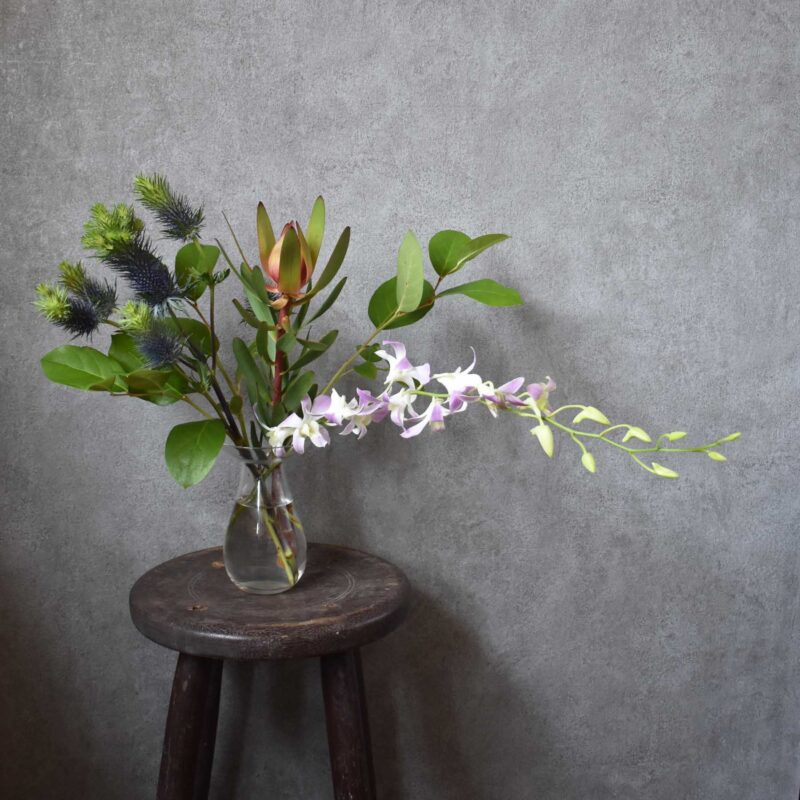 デンファレ,リューカデンドロン,エリンジュ－ム,レモンリーフ