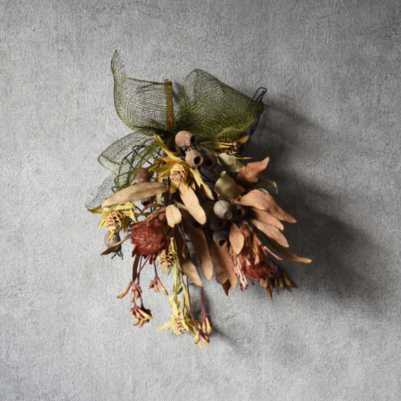 プロテア,ワイルドフラワー,カンガルーポー,ベルガムナッツ