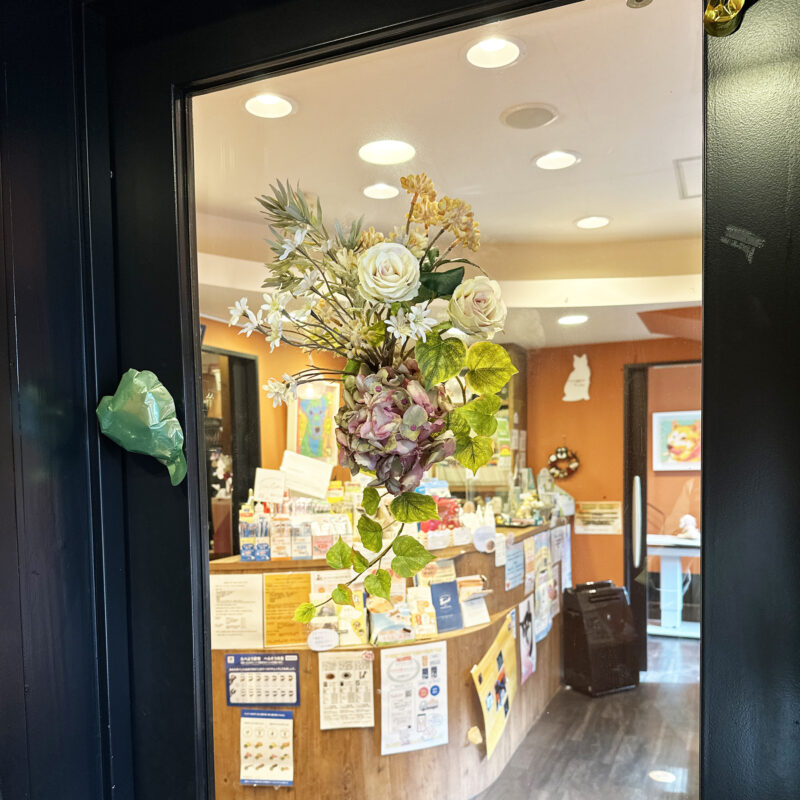 わかば犬猫病院,レンタルフラワー,定期装花,アーティフィシャルフラワー,受付,オフィス受付,受付スペース,動物病院