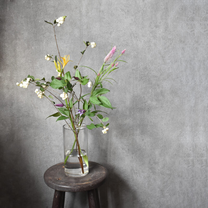 クレマチス、リコリス、セロシア、シンフォリカルポス