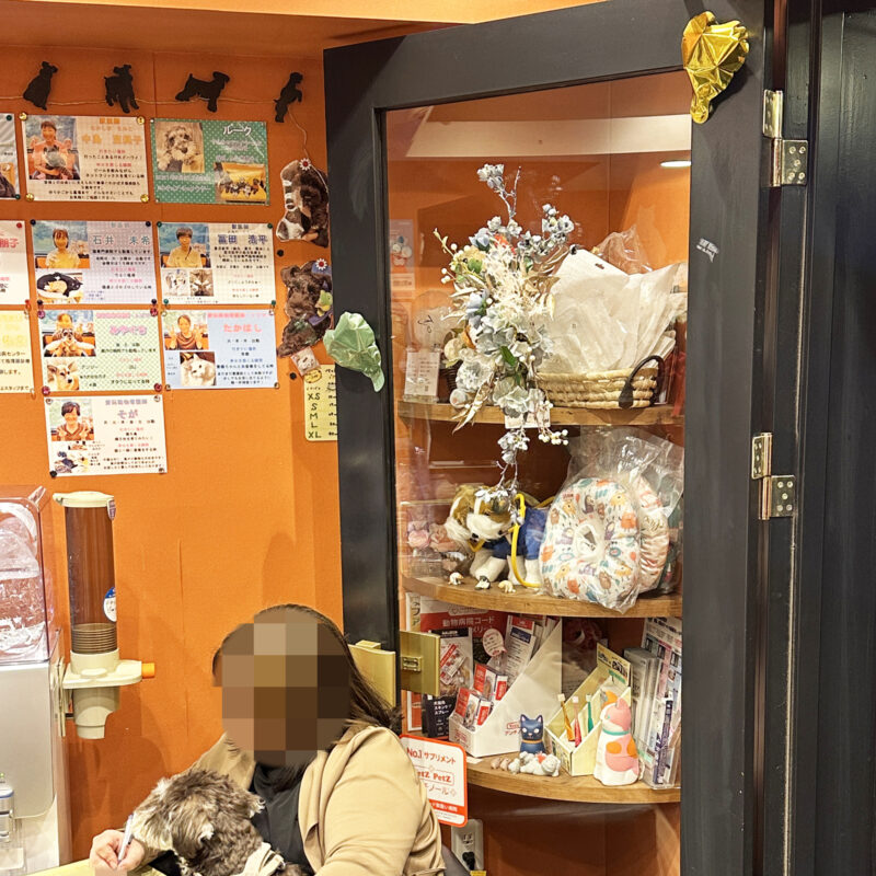 わかば犬猫病院,レンタルフラワー,定期装花,アーティフィシャルフラワー,受付,オフィス受付,受付スペース,動物病院