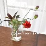 yutoriiro_freshflower